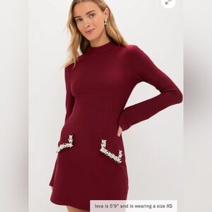 Hyacinth House- Oxblood Embellished long sleeve dress